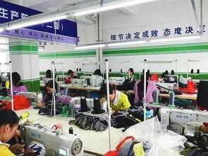 社区工厂 平利就业扶贫的创新实践与跨区域突围