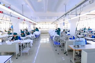 看完国外先进的服装工厂,才知道自己多逊