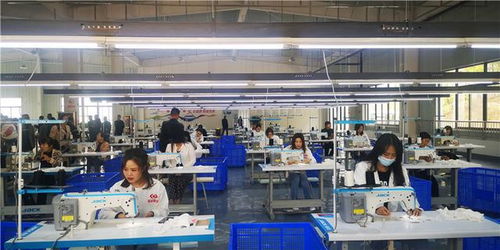 紫阳县仁和千户社区工厂投产，同步开启境外就业中介服务新篇章
