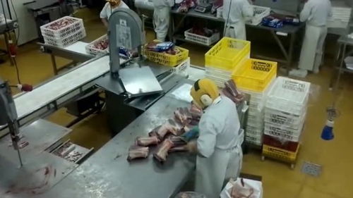 探秘国外肉食工厂 切肉、打包、上架一气呵成的科技与就业新机遇